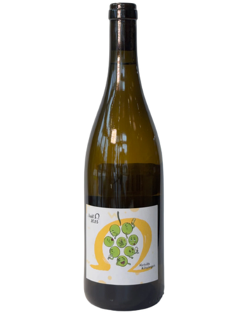 Moritz Kissinger Ohm Weiss 2023 Blanco